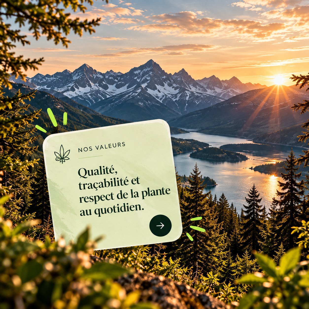 Nos valeurs : qualité, traçabilité et respect de la plante au quotidien