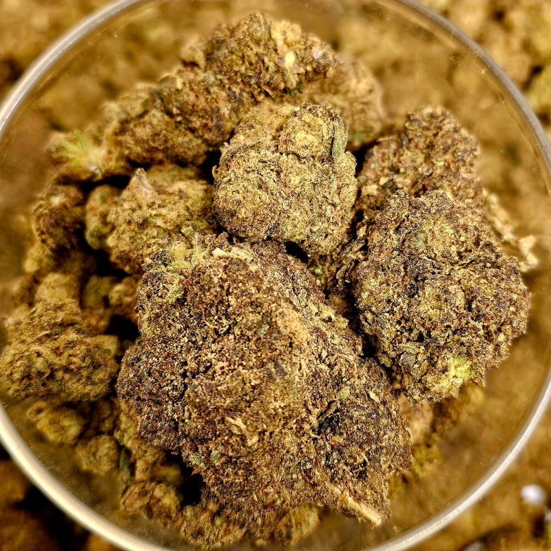 Mango 30 % Gold — Fleur hydroponique enrichie — Gold 30 %
